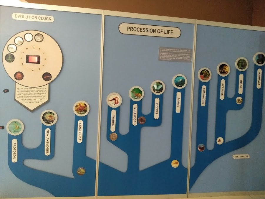 Regional Science Centre - Photo 8