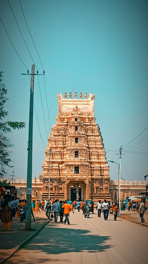 Sri Ranganathaswamy Temple - Photo 2