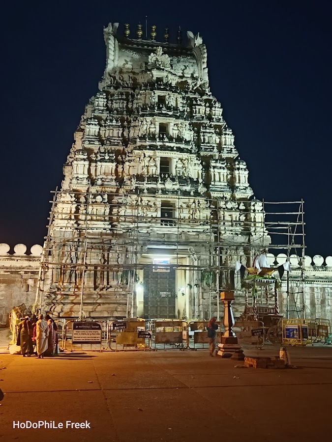 Sri Ranganathaswamy Temple - Photo 3