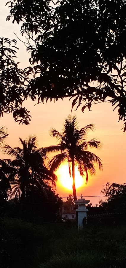 Bhawarath - Photo 3