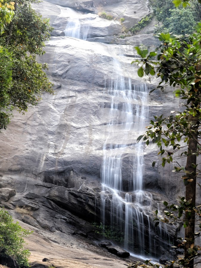Thusharagiri Falls - Photo 2