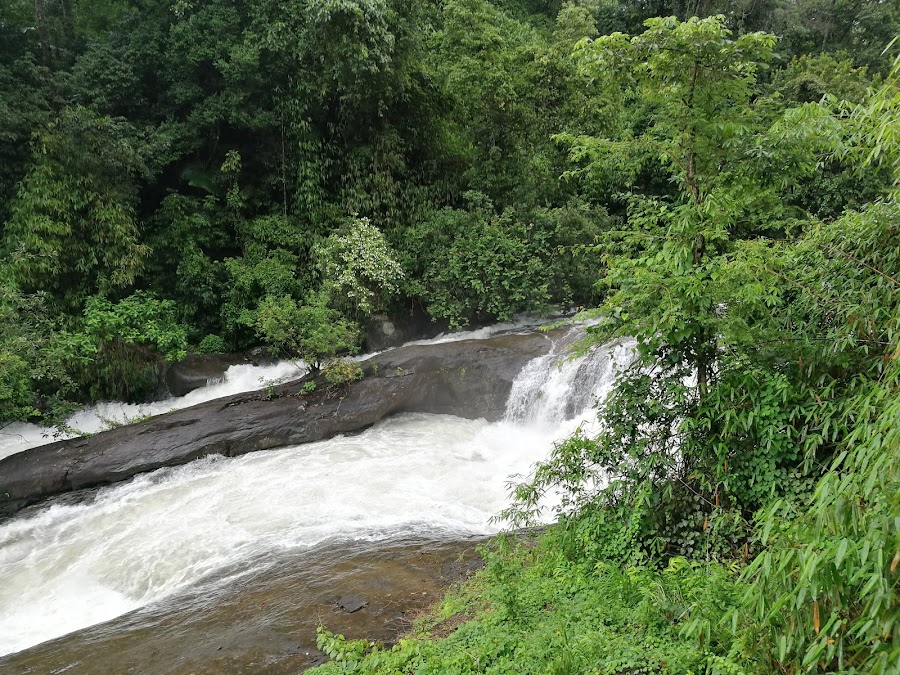 Thusharagiri Falls - Photo 3