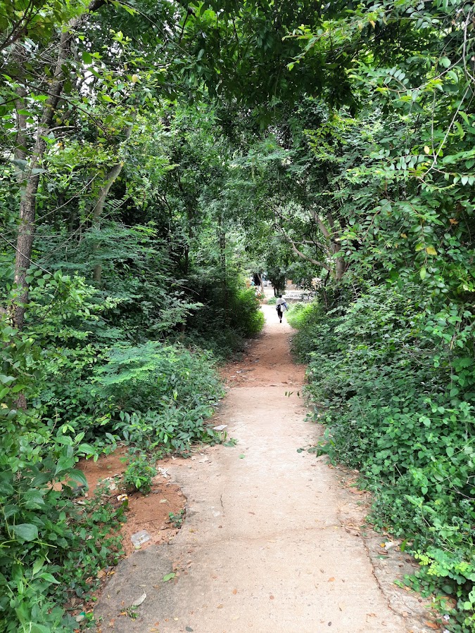 Parvatha Malai - Photo 2