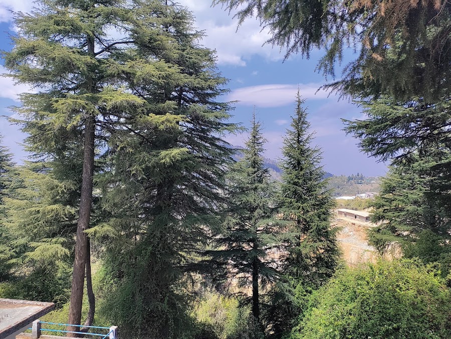 Mostamanu Temple - Photo 9