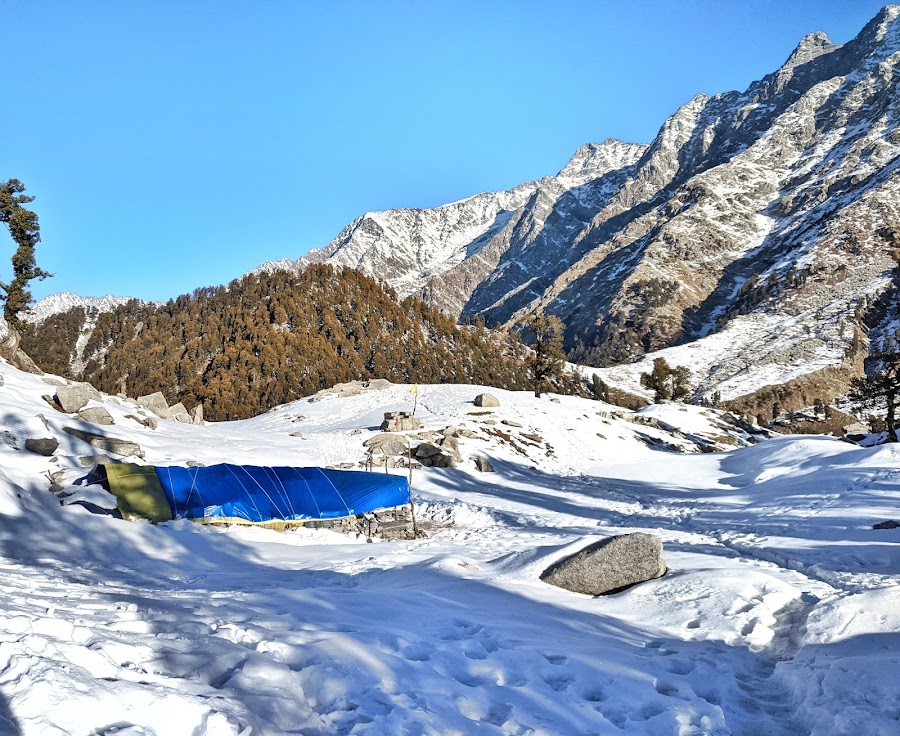 Snowline Cafe - Photo 2
