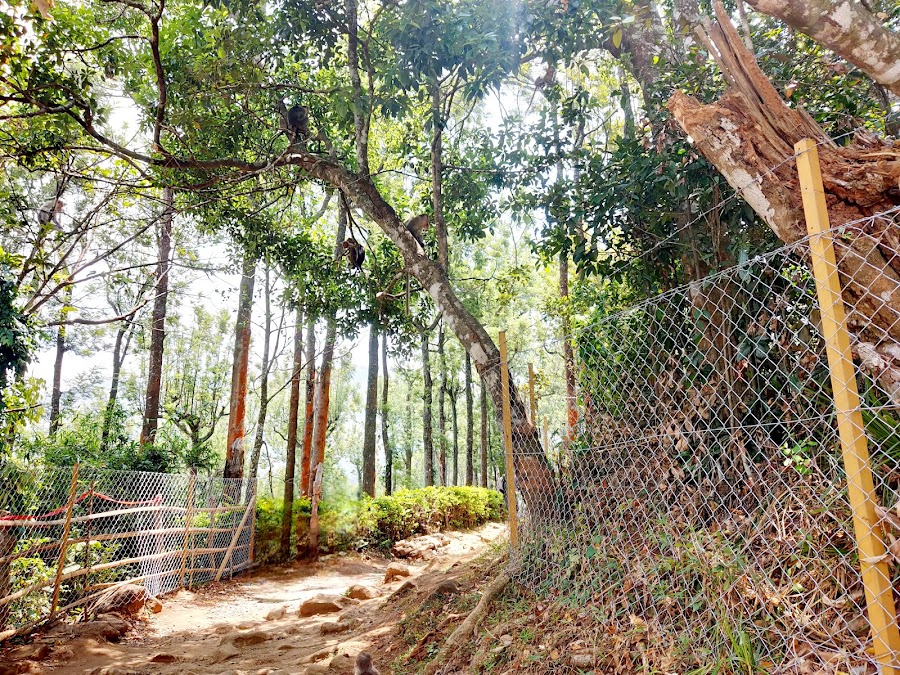 Palagapandi Estate - Photo 3