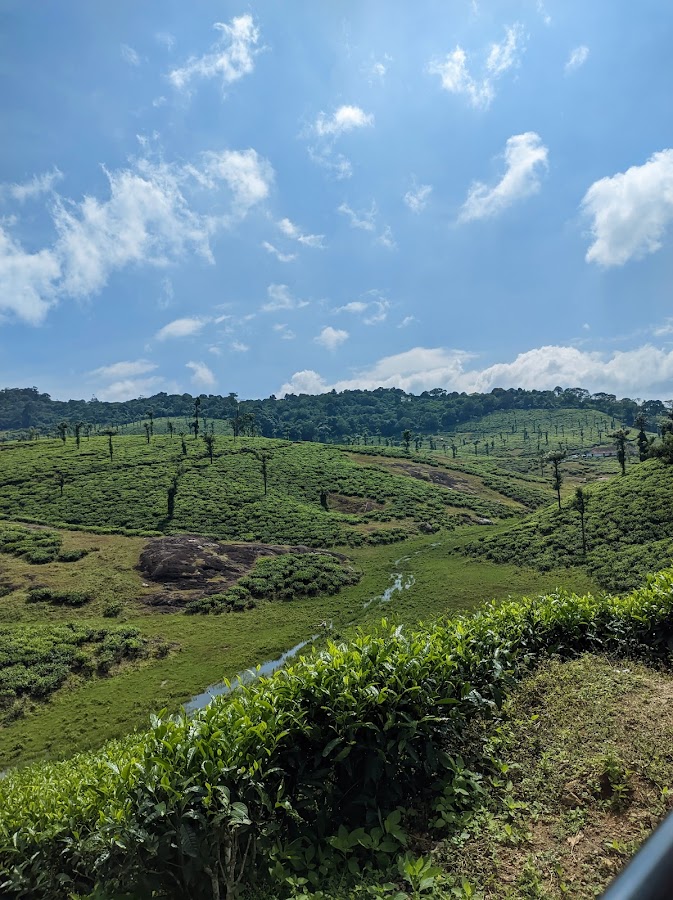 Palagapandi Estate - Photo 2