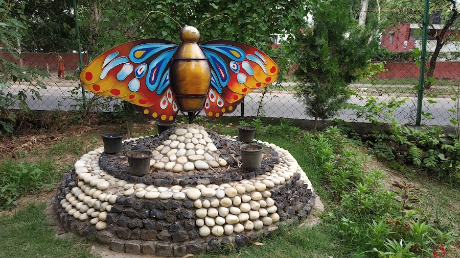 Butterfly Garden