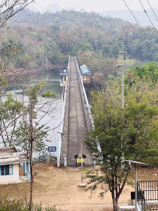 Peppara Wildlife Sanctuary - Photo 2