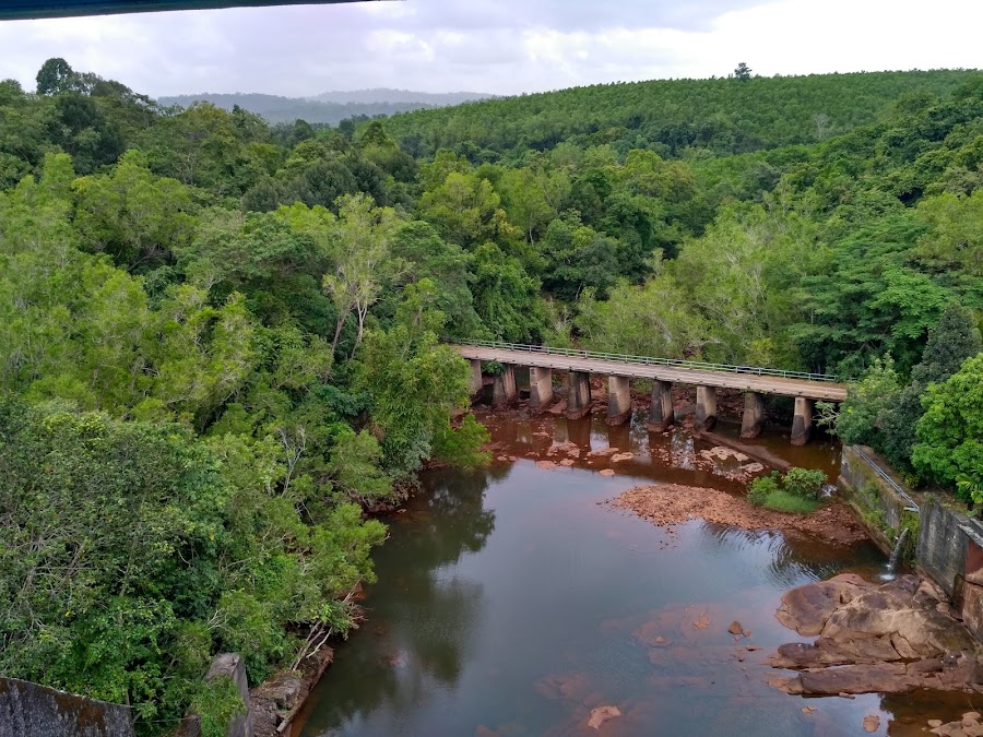 Peppara Wildlife Sanctuary - Photo 4