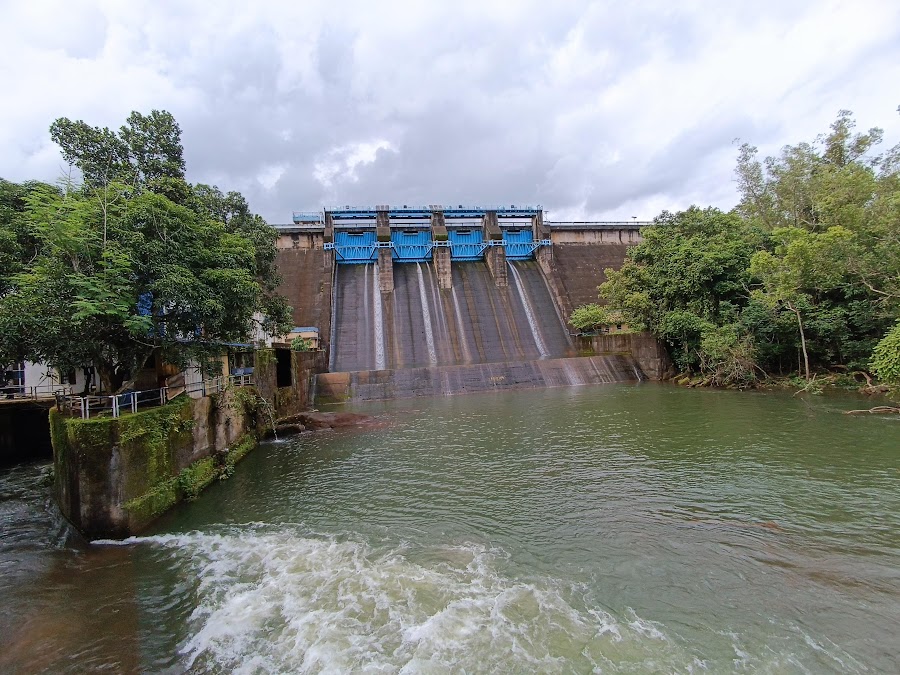 Peppara Wildlife Sanctuary - Photo 3
