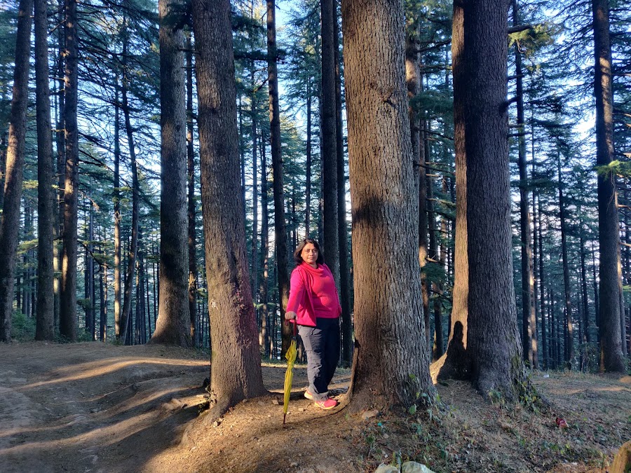 Eco Park - Photo 9
