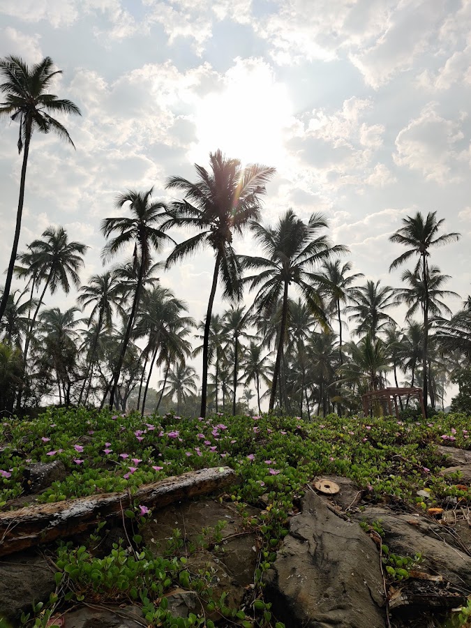 Sasawane Beach - Photo 4