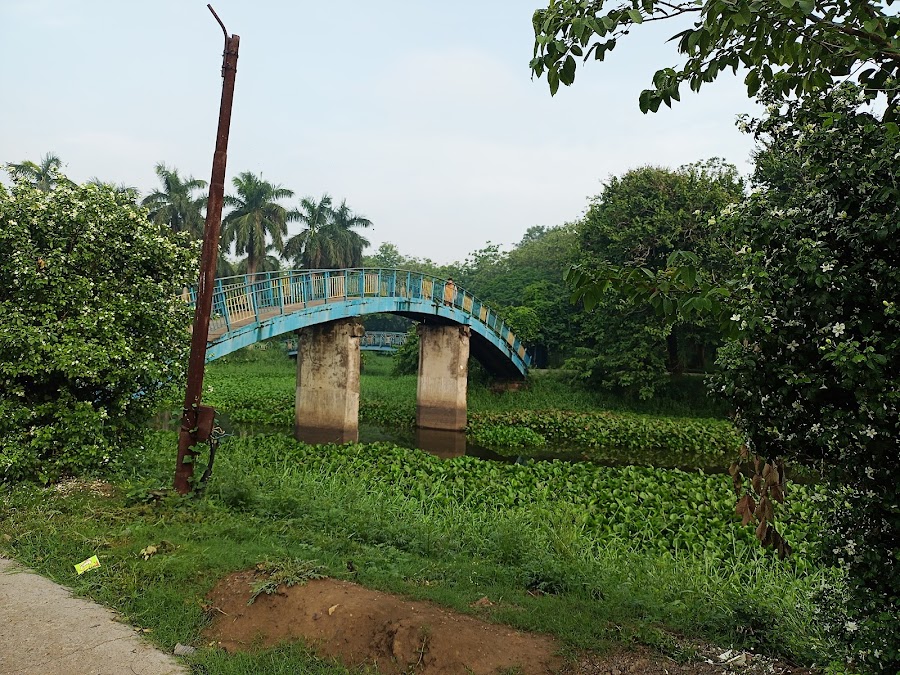 City Park - Photo 2