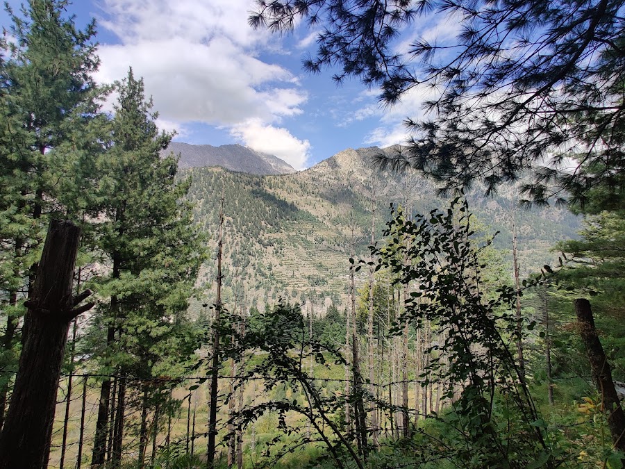 Sat-Tal - Photo 4