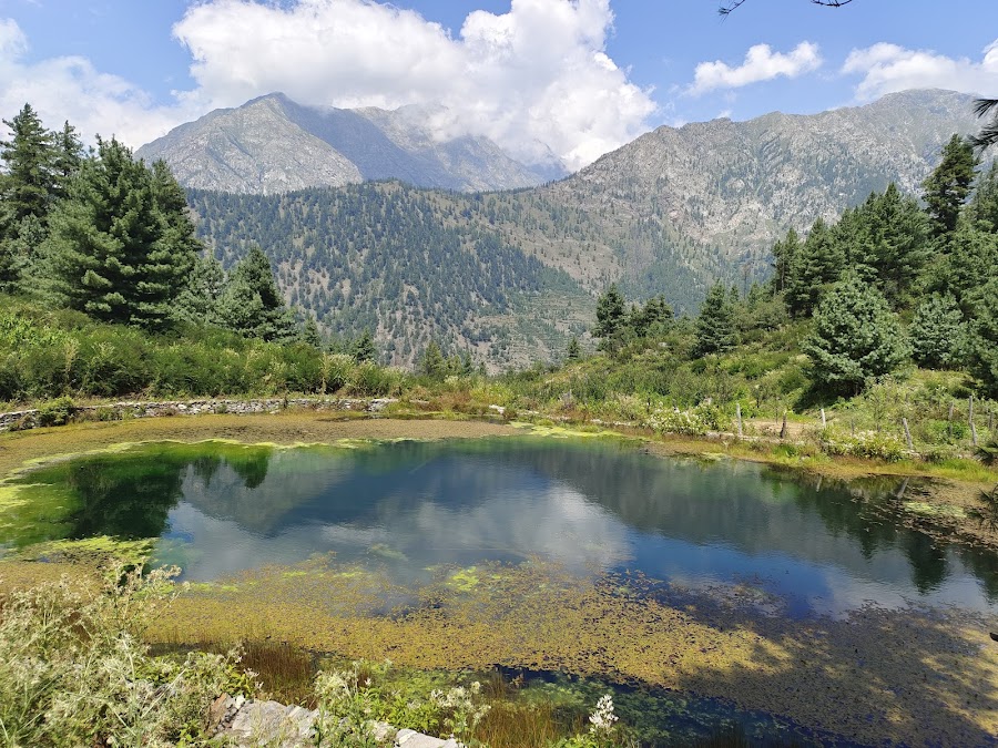 Sat-Tal - Photo 3