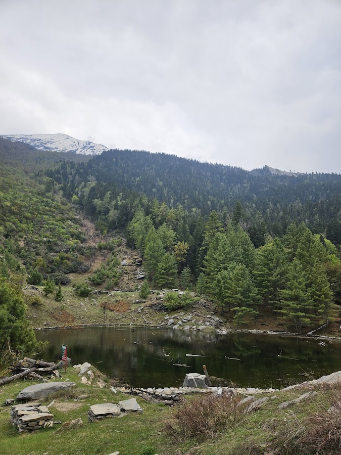 Sat-Tal - Photo 10