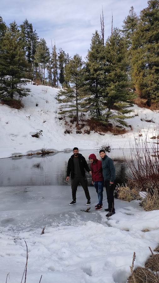 Sat-Tal - Photo 6