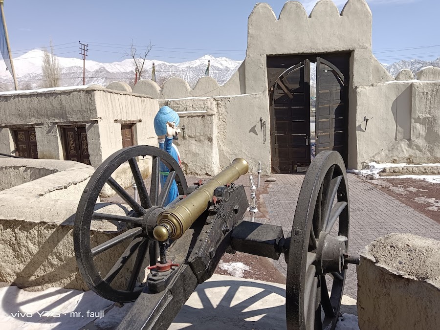 Zorawar Fort - Photo 3