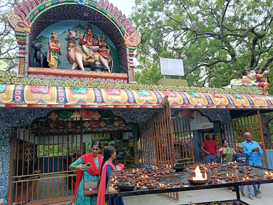 Yama Lingam - Photo 2