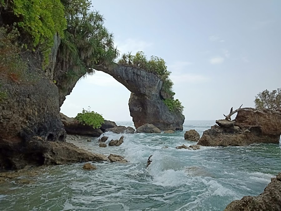 Neil Island (Shaheed Dweep) - Photo 2