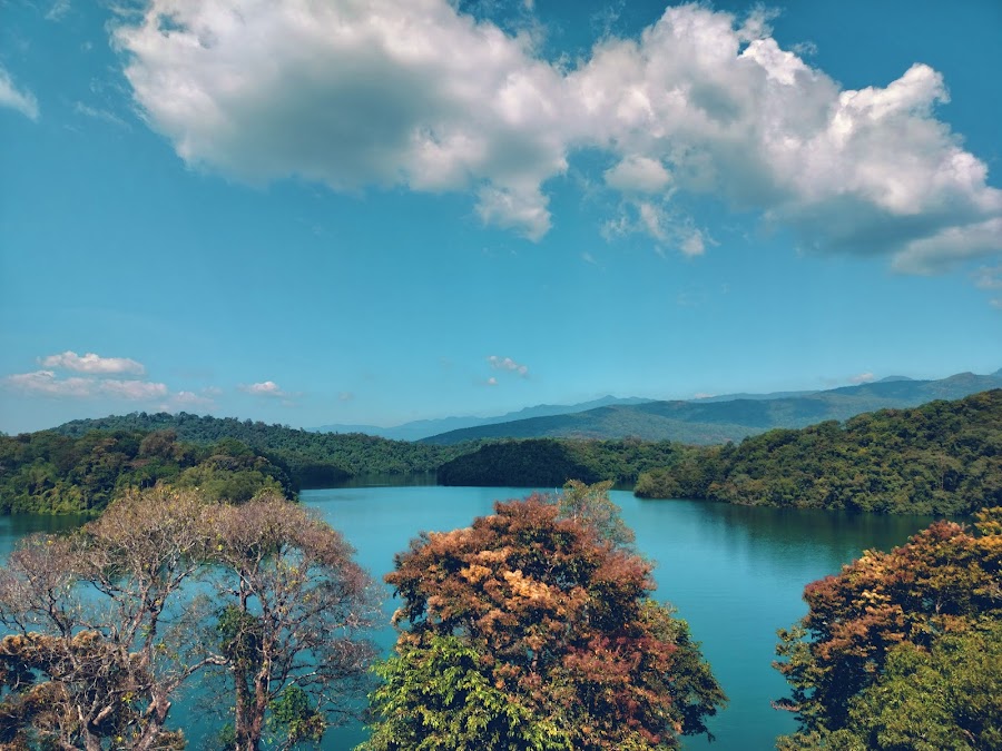 Neyyar Wildlife Sanctuary - Photo 4