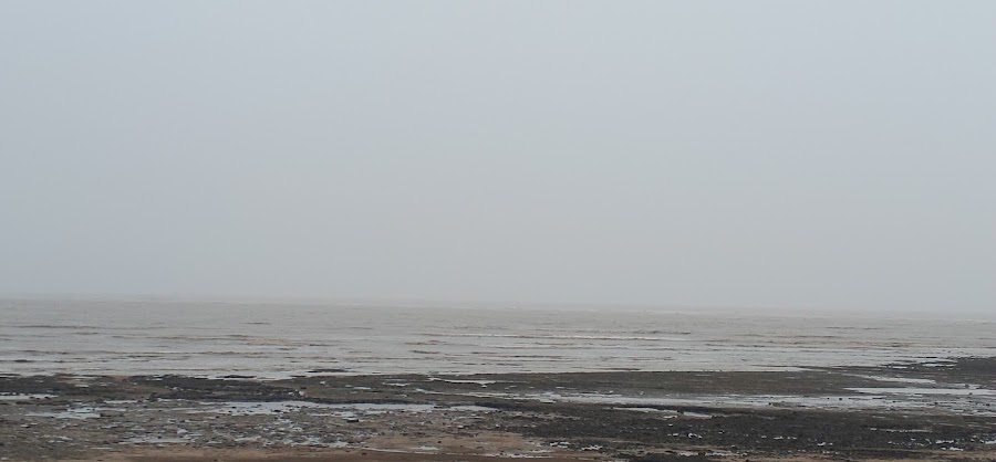 Gopnath Beach - Photo 3
