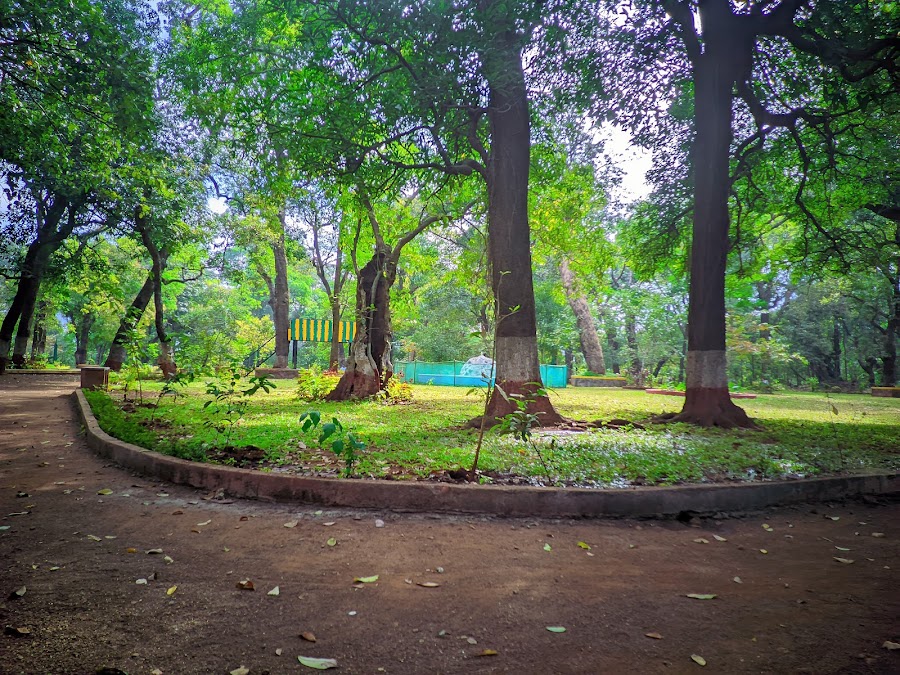 Ryewood Park - Photo 2