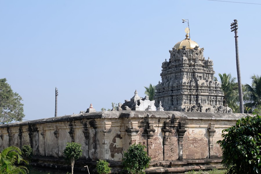 Sri Kurmanatha Swamy temple - Photo 3