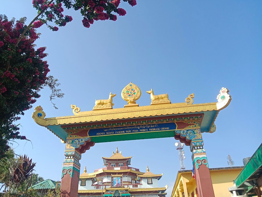 Zang Dhok Palri Phodang - Photo 6