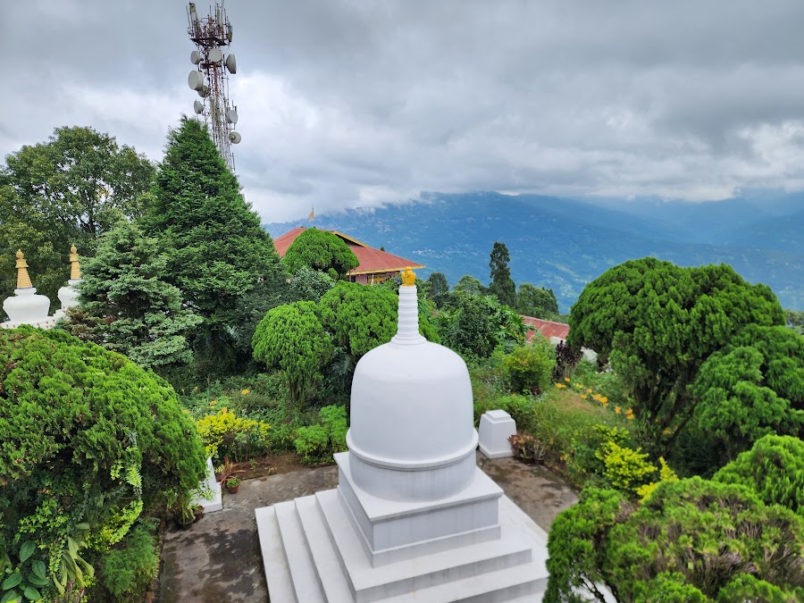 Zang Dhok Palri Phodang - Photo 10