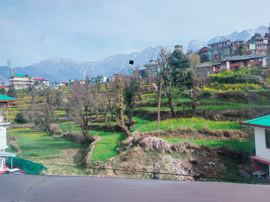 McLeod Ganj - Photo 4