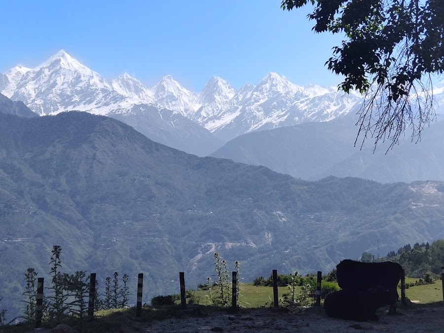 Darkot Village - Photo 8