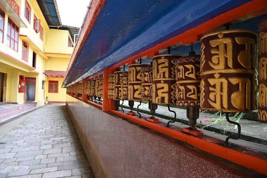 Do Drul Chorten Monastery - Photo 4