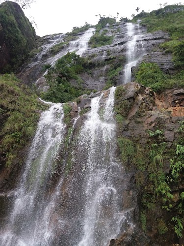 Mawsynram - Photo 2