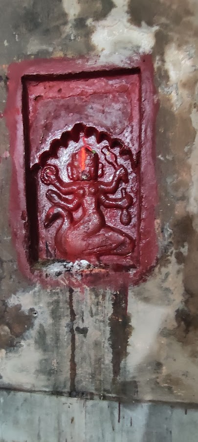 Devi Dol - Photo 4