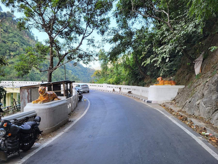 Coronation Bridge - Photo 4