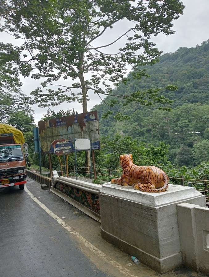 Coronation Bridge - Photo 5