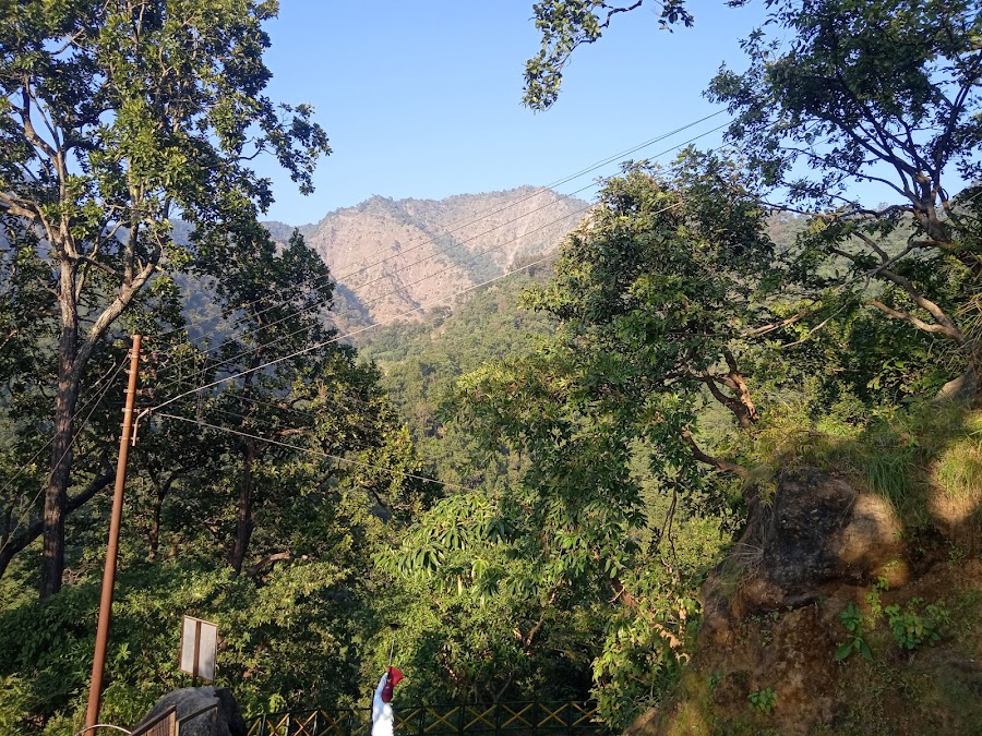 Purnagiri Temple