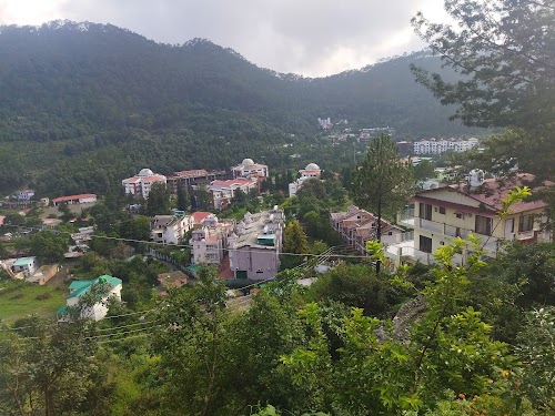 Almora - Photo 3
