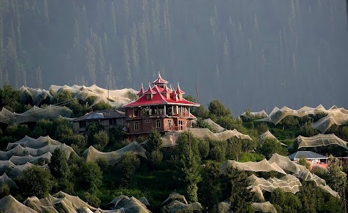 Narkanda - Photo 4