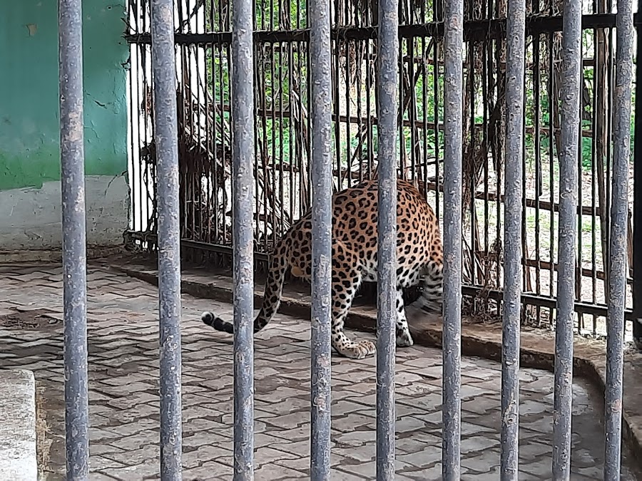 Nandan Van Zoo & Safari - Photo 2