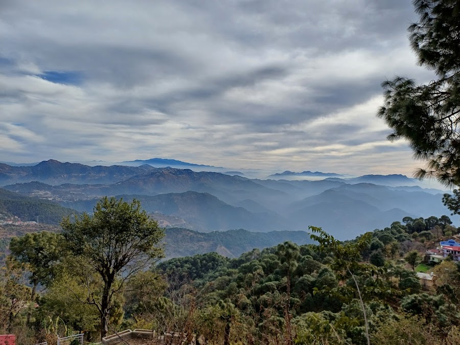 Monkey Point - Photo 3