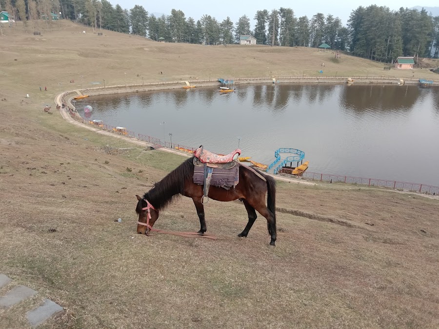 Sanasar - Photo 2