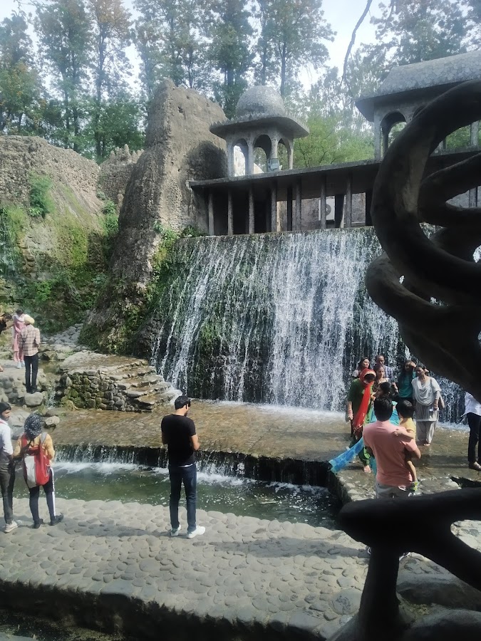 Rock Garden - Photo 4