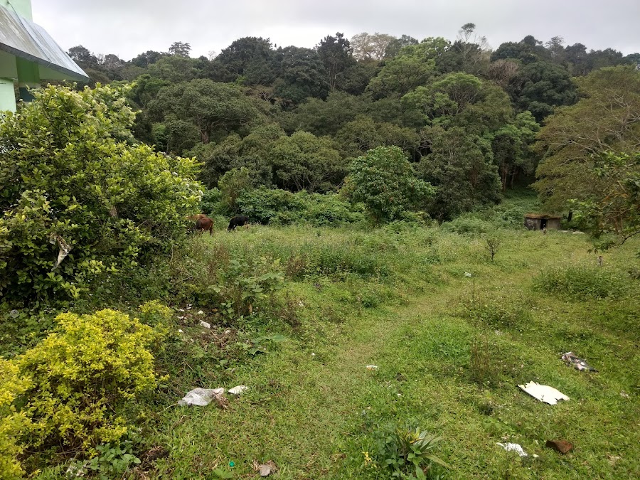Pothundi Dam - Photo 4