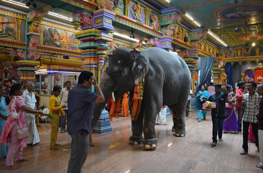 Arulmigu Manakula Vinayagar Devasthanam - Photo 3
