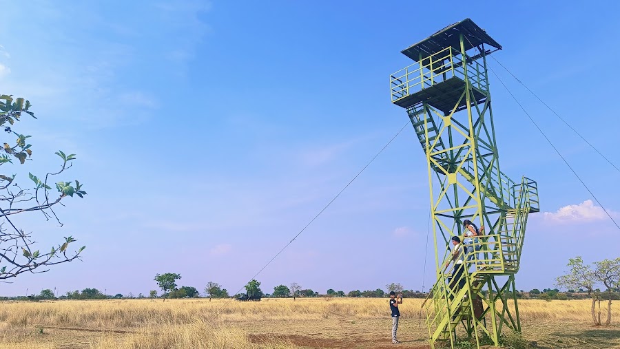 Rollapadu Wildlife Sanctuary - Photo 4