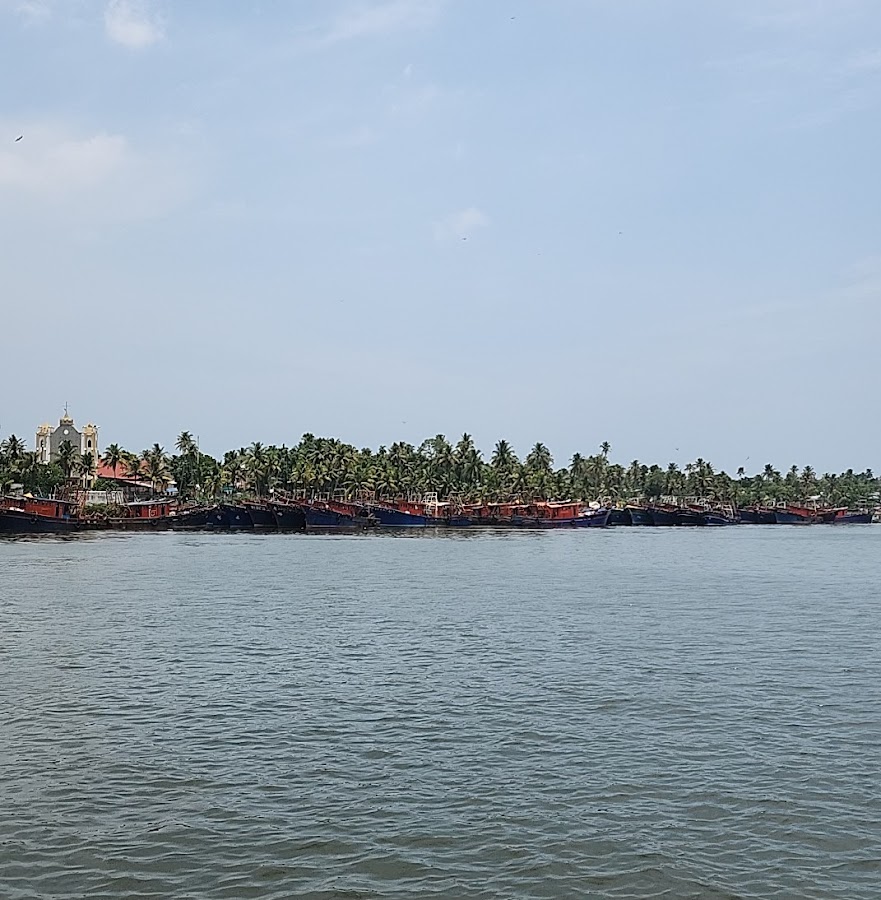 Ashtamudi Lake - Photo 3