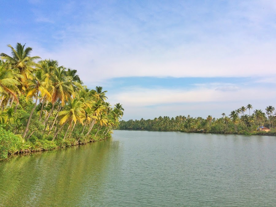 Ashtamudi Lake - Photo 2